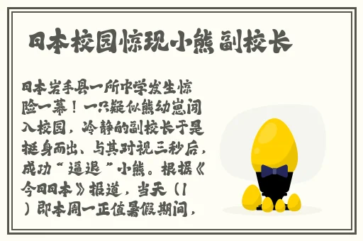 公园里的老年镖客视频人生